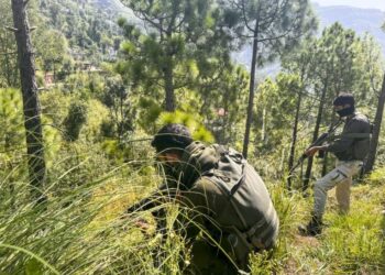 Search Operation Underway In Remote Village In J&K’s Poonch
