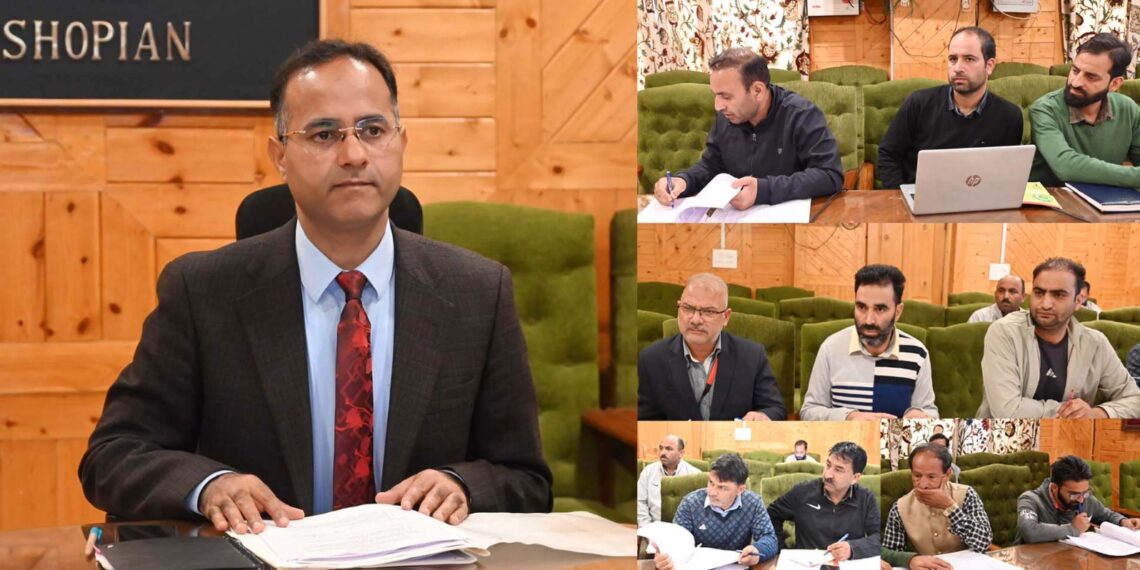 DDC Shopian chairs District Implementation Committee meeting