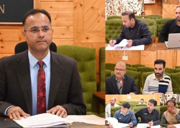 DDC Shopian chairs District Implementation Committee meeting