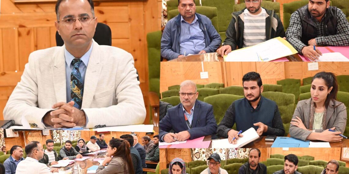 DLIC Shopian approves 75 cases under Mission Youth schemes