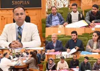 DLIC Shopian approves 75 cases under Mission Youth schemes