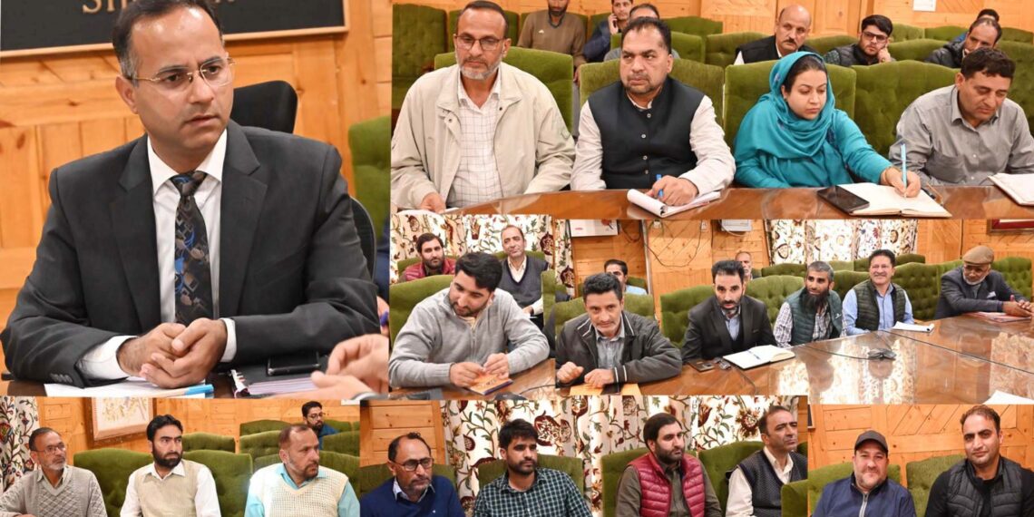 DDC Shopian reviews ongoing Developmental Works