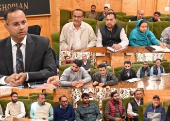 DDC Shopian reviews ongoing Developmental Works