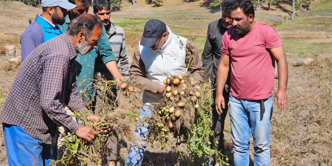 Director Agriculture visits Potato SMF Bosian Baramulla
