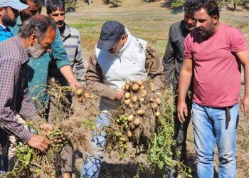 Director Agriculture visits Potato SMF Bosian Baramulla
