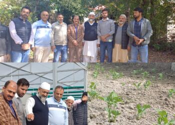 Deputy Director Agriculture Reviews Tangdar’s Agricultural Progress, Engages with Farmers on Scheme Benefits.