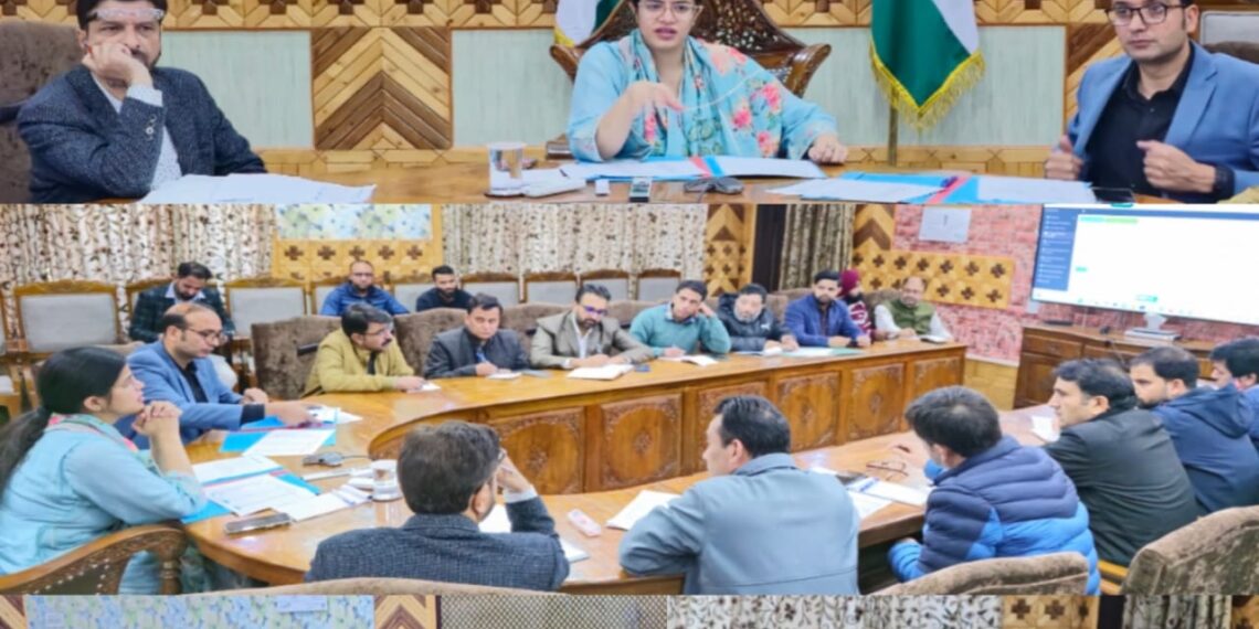 DC Kupwara reviews functioning of Revenue Department