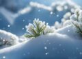 Light snowfall in higher reaches, rains in plains of Kashmir