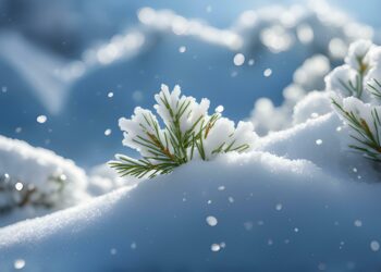 Light snowfall in higher reaches, rains in plains of Kashmir