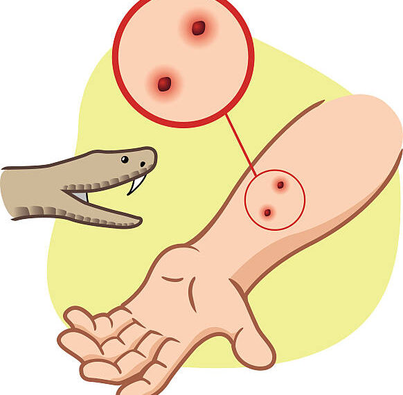 Two Children Die from Snake Bite in JK’s Reasi