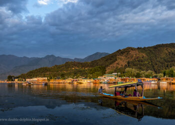 KASHMIR: PARADISE IN PERIL