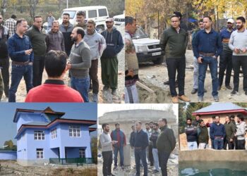 DC Shopian visits several areas to inspect WSS