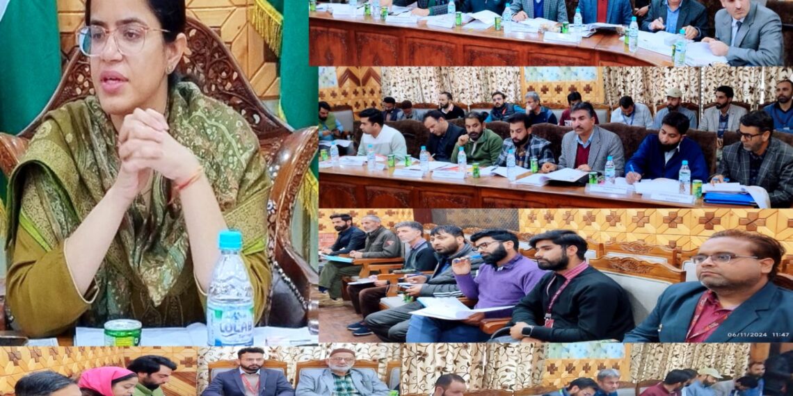 DC Kupwara convenes DLRC meeting; emphasizes on financial inclusion, employment generation