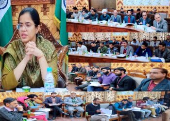 DC Kupwara convenes DLRC meeting; emphasizes on financial inclusion, employment generation