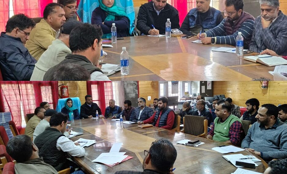 DDC Chairperson Shopian reviews developmental works at Zainapora