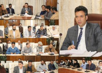 DC Srinagar chairs meeting with Revenue Officers and Executing agencies