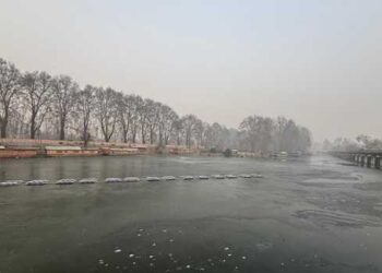 Amid relentless cold, WD to trigger snowfall in J&K, Ladakh