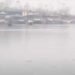 Unabated cold wave continues to shiver Kashmir