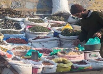 Kashmiri Sun-dried vegetables Hokh Syun; Winter delight and age-old tradition