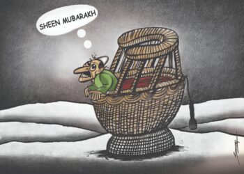 Sheen Mubarak: A Celebration of Snowfall in Kashmir