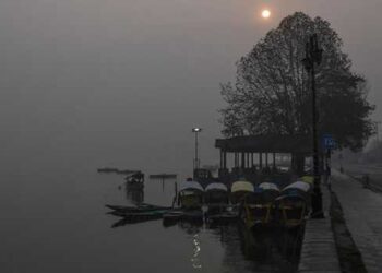 Snowfall intensifies cold in Kashmir