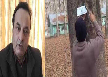 Authorities start geo-tagging to conserve iconic ‘Chinar’ trees in Kashmir