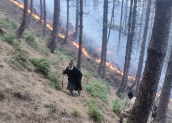 Massive Forest Fire in Karnah: Two Locals Injured While Battling Flames