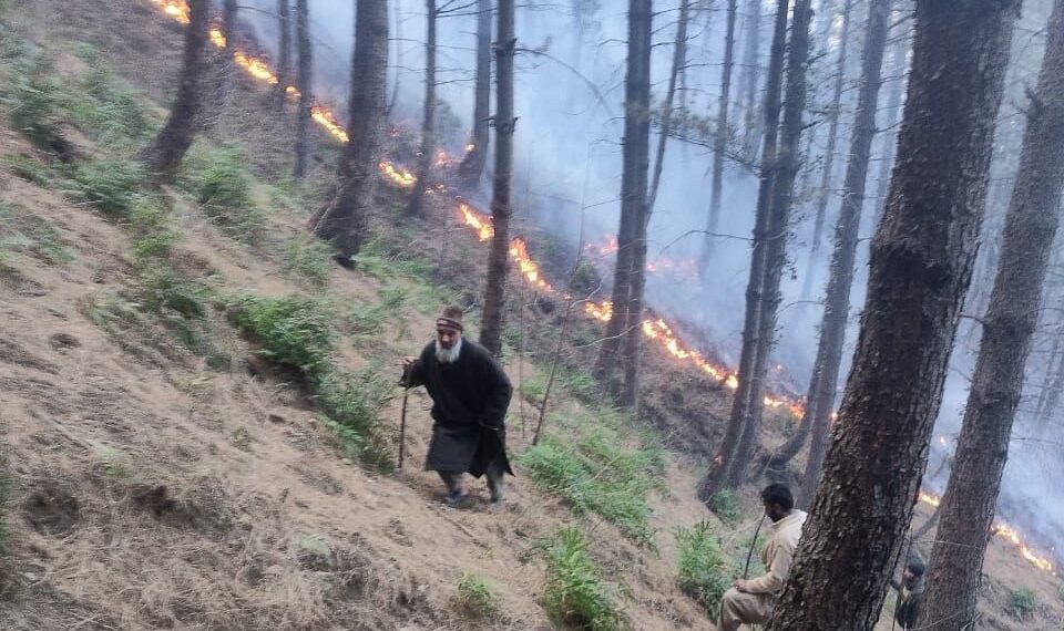 Massive Forest Fire in Karnah: Two Locals Injured While Battling Flames