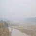 Sun plays hide and seek as dense fog grips Jammu