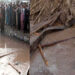36 killed, 40 injured in rain-related incidents in Afghanistan