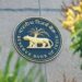 RBI cuts repo rate by 0.25 pc, first time in nearly five yrs