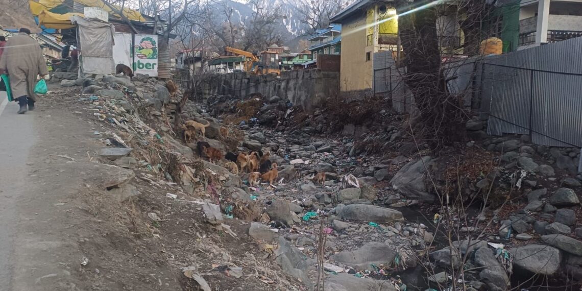 Vital Nallah Bata Moji in Karnah Dries Up: A Crisis for Agriculture & Environment.
