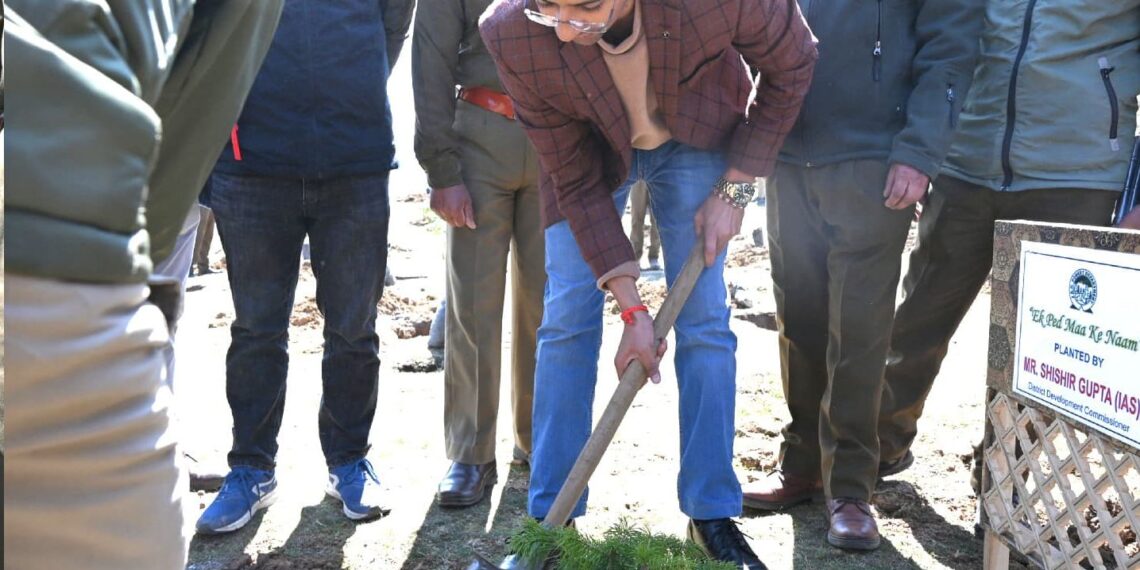 Mega Plantation Drive Held in Shopian to Mark World Forest Day 2025