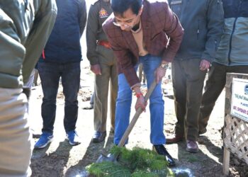 Mega Plantation Drive Held in Shopian to Mark World Forest Day 2025