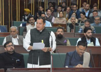 50 hectares saffron land rejuvenated under National Mission on Saffron in Kishtiwar: Agriculture Minister