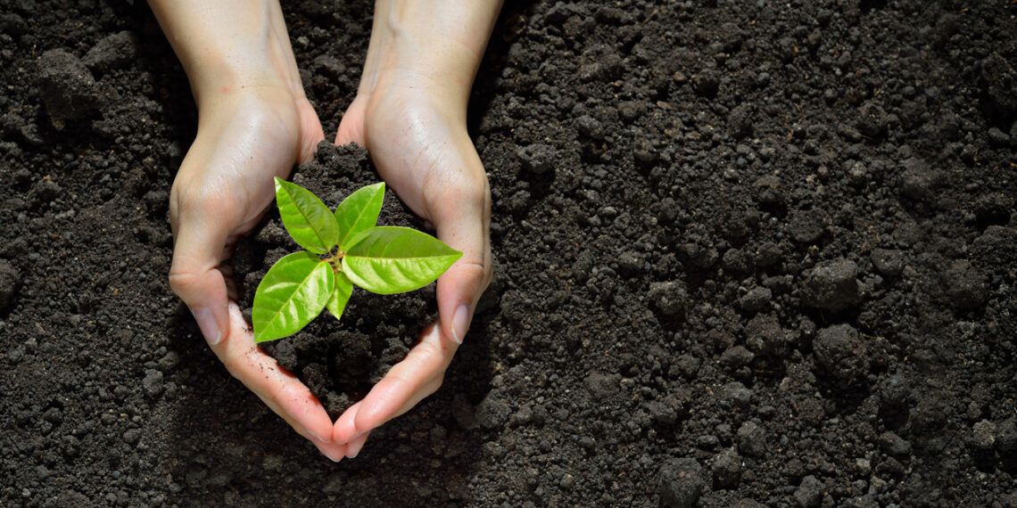 CUS Conducts Plantation Drive on World Forest Day