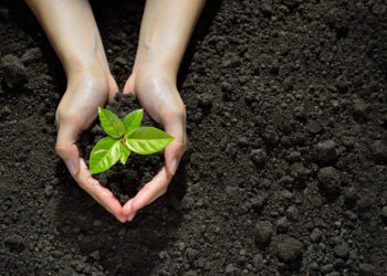 CUS Conducts Plantation Drive on World Forest Day