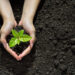 CUS Conducts Plantation Drive on World Forest Day