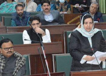 Budget Session: Deputy CM assures expeditious completion of all road projects in J&K