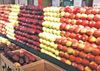 Kashmir Fruit Growers Warn of Crisis as Tariff Cut on ‘Washington Apples Looms’