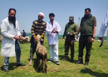 Army Holds Free Veterinary Camp in Remote Shopian Village, Locals Seek More Initiatives