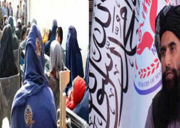 Afghan gov’t registers over 653,000 widows, orphans, disabled families over past 3 years