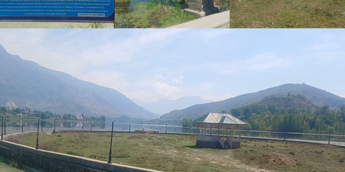 “Nainara Island Can Be a Tourist Gem, Govt Must Act”: Sonawari Locals