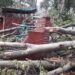 CRPF Jawan Injured After Tree Falls on Bunker Near Amar Singh Club Srinagar