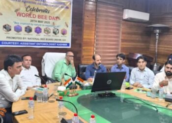 Youth taking bee keeping on commercial lines, establishing units is an encouraging trend: Dir Agri (K)