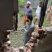 AIP Team Tours Shelling-Hit Karnah Villages, Seeks Swift Govt Action & Accountability from Insurers