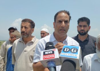 5 Lakh Fish Seed Stocked in Wular Lake, Other Water Bodies Across Baramulla: Fisheries Deptt