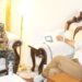 BRO CE calls on Dy CM; discusses road infra in Jammu province