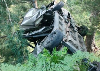 Tragic Accident Near Neelam on Sadhna-Chowkibal Road; One Dead, Several Injured