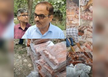 Substandard Meat: “Don’t Give It a Religious Angle; It’s Halal Meat but Substandard”: Asst Commr Food Safety Advises Imams